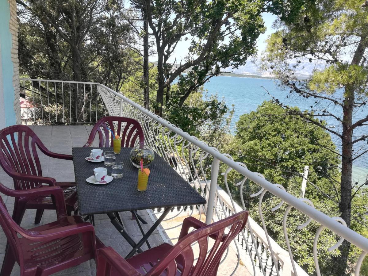 Apartman Volarevic Donji Karin Dış mekan fotoğraf