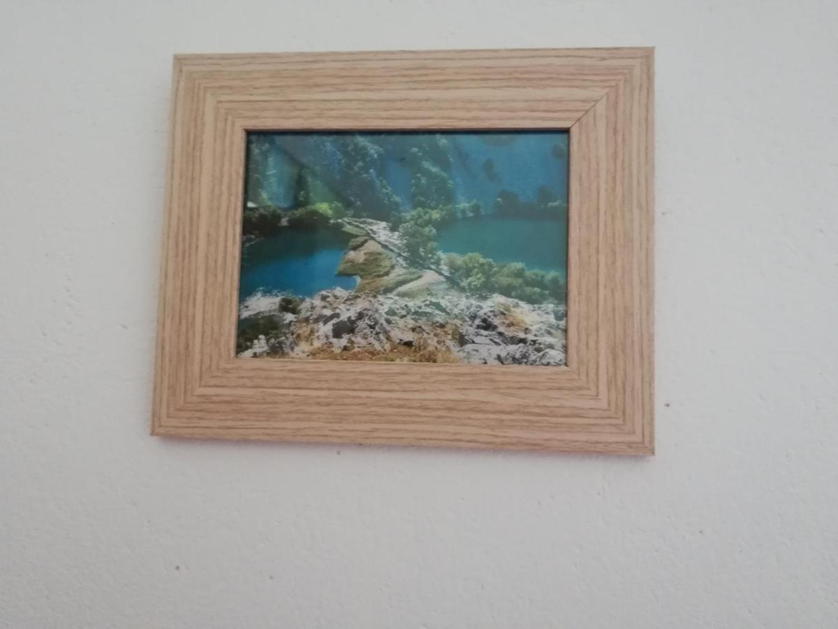 Apartman Volarevic Donji Karin Dış mekan fotoğraf