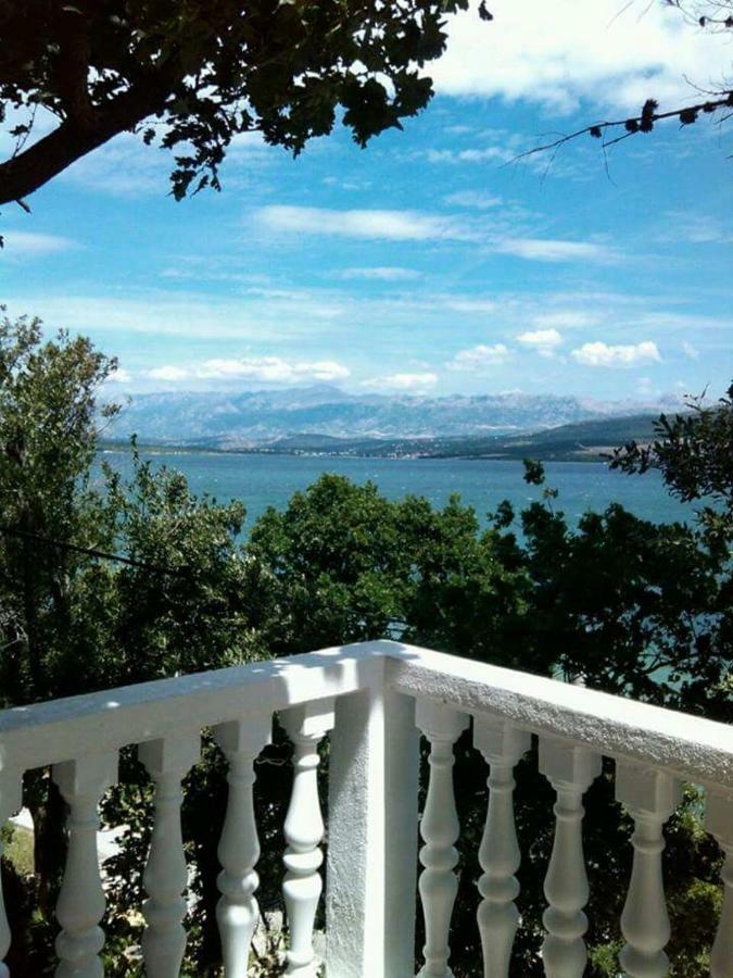 Apartman Volarevic Donji Karin Dış mekan fotoğraf